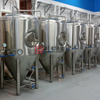1000L schlüsselfertiges Projekt der Brauerei Customzied Beer Brewing Equipment Fermentation Machine zum Verkauf